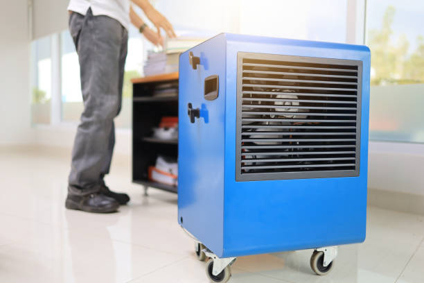 Best Mold Prevention Services  in Fern Acres, HI